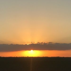 Meet your Posher, Esther